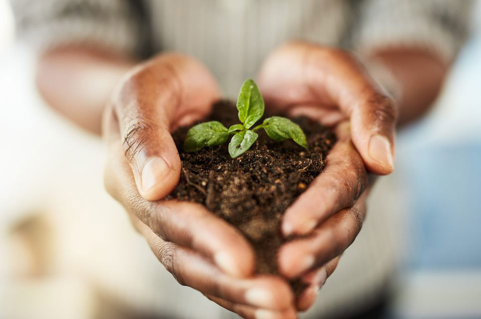 Growing your career